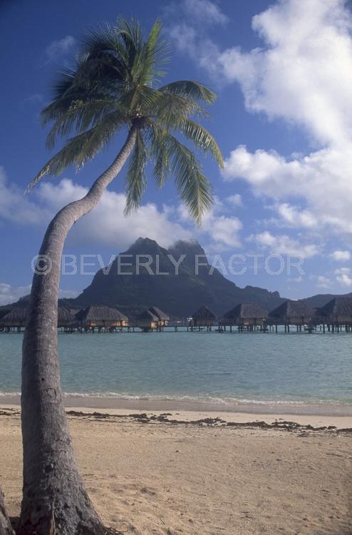 Islands;huts;ocean;palm trees;blue;water;sky;Bora Bora;sandy beach